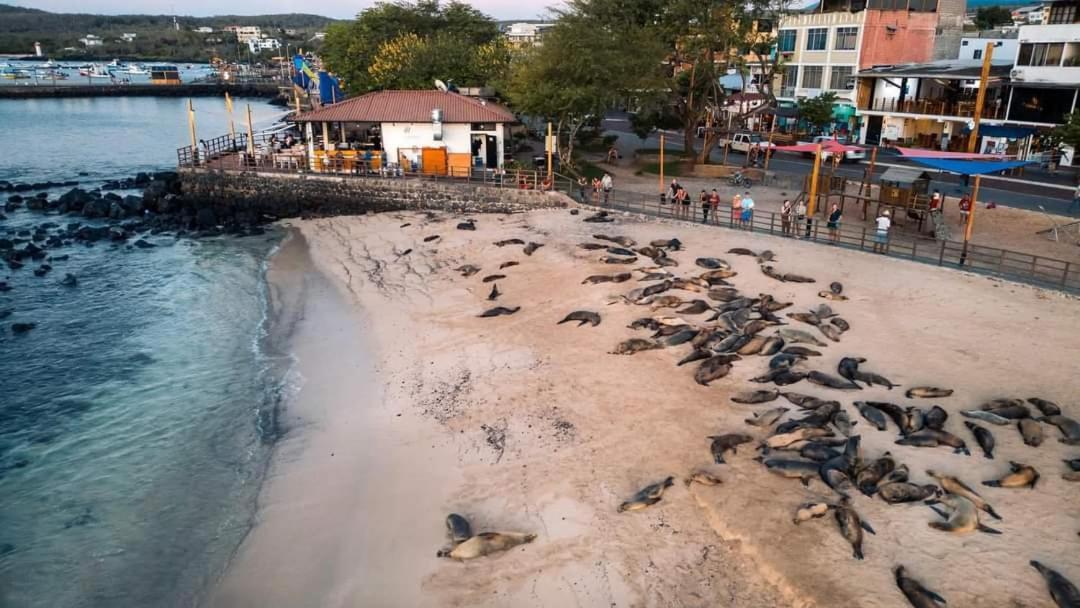 Royal Galapagos Hotel